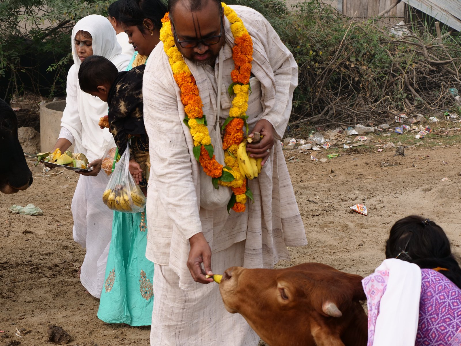  152 Gopashtami Radha kunda Govardhan 19.11.04